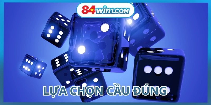 Lua-chon-cau-dung-va-quan-sat-xu-huong-giup-tang-ty-le-thang