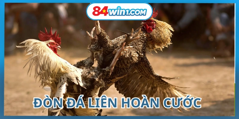 don-da-lien-hoan-cuoc