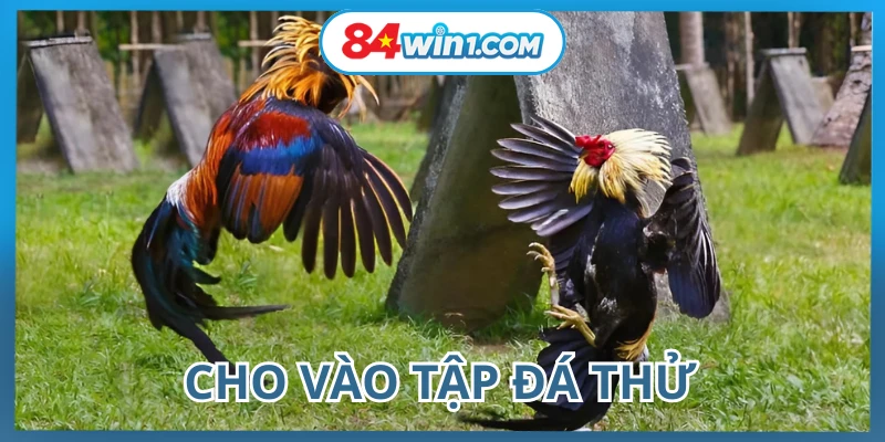 ren-luyen-don-da-lien-hoan-cuoc-cho-chien-ke