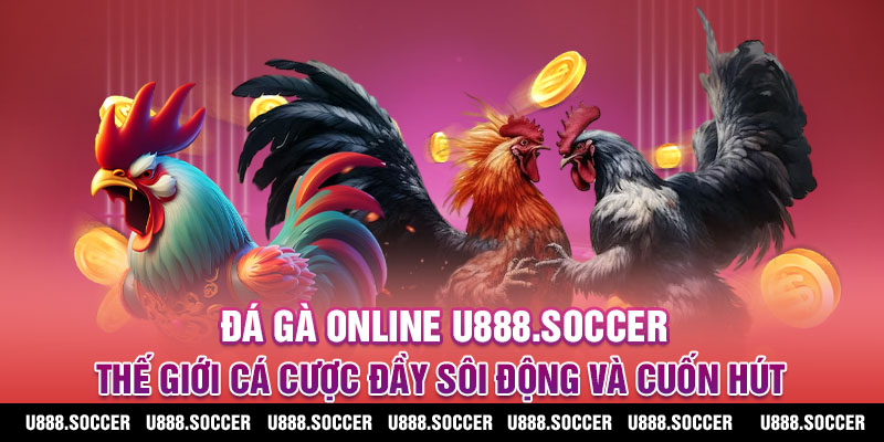Giới thiệu đá gà U888