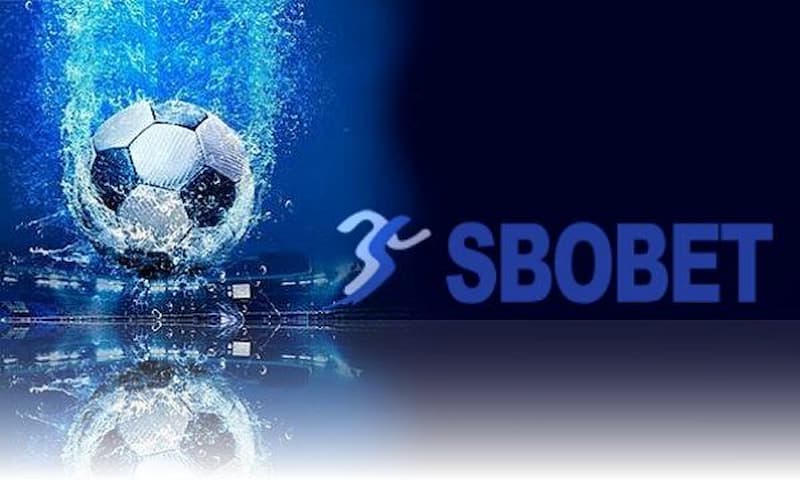 Soi kèo đỉnh cao và uy tín tại Sbobet